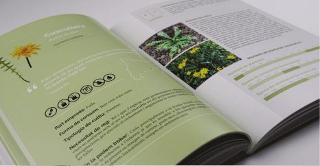 El llibre de les plantes silvestres comestibles 01 - Imagen 8