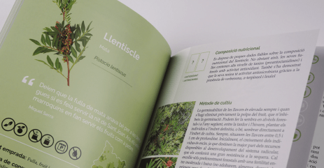 El llibre de les plantes silvestres comestibles 01 - Imagen 7