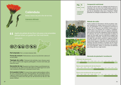 El llibre de les plantes silvestres comestibles 01 - Imagen 6