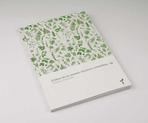 El llibre de les plantes silvestres comestibles 02 - Imagen 7