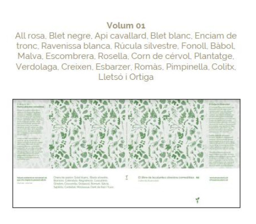 El llibre de les plantes silvestres comestibles - Imagen 4