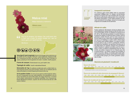 El llibre de les plantes silvestres comestibles 03 - Imagen 2